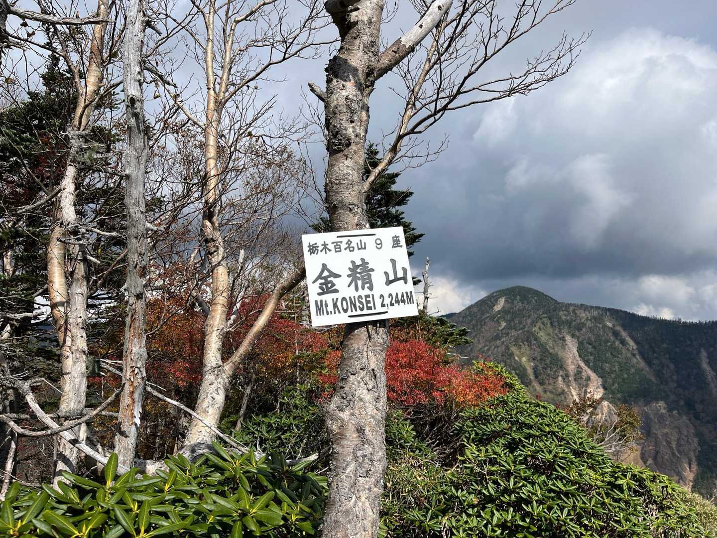 金精峠登山口-金精峠-金精山-五色山-前白根山-五色沼 往復コースの写真
