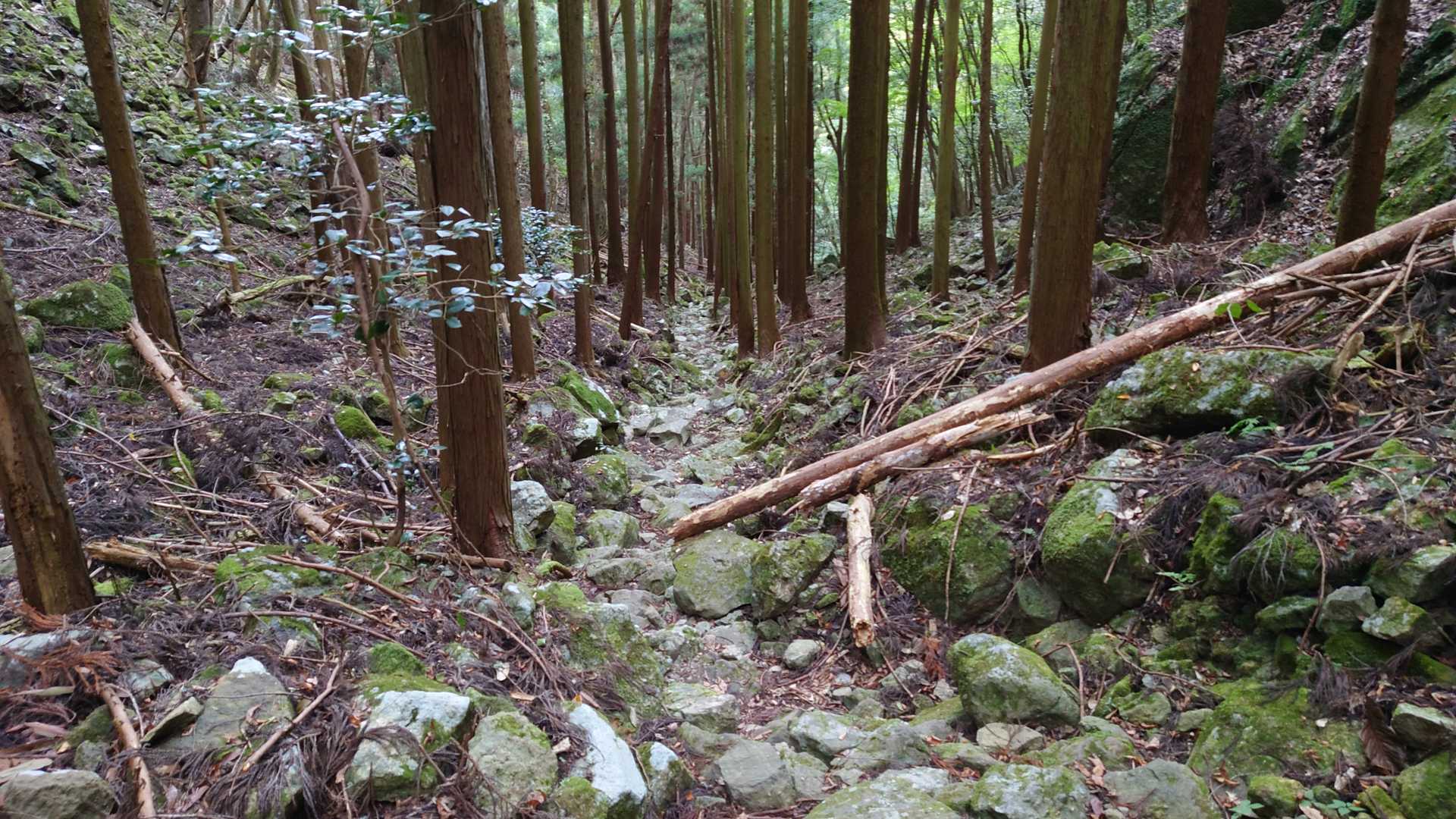 もちろん下りの方がより危険度は増します。
さらに慎重に下ります。