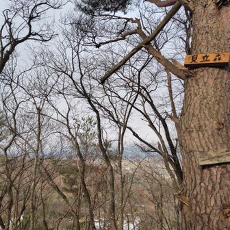 見立森
前半藪ばっかだな🤣
嫌なことは先にやっつけるタイプ😤