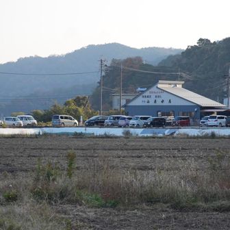 駐車場に帰ってきました