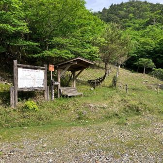 柵の間が登山道
