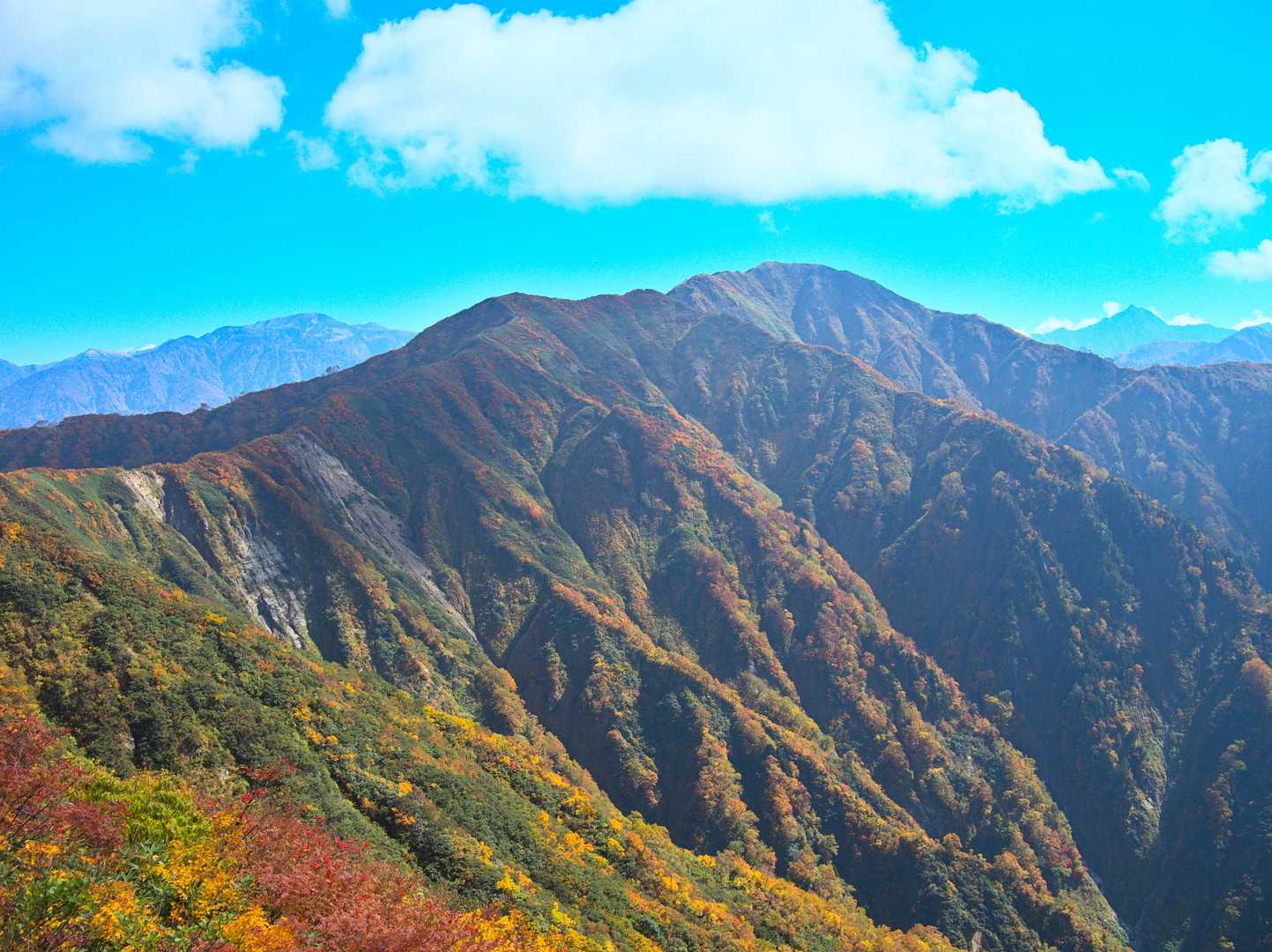 駒ヶ岳全景