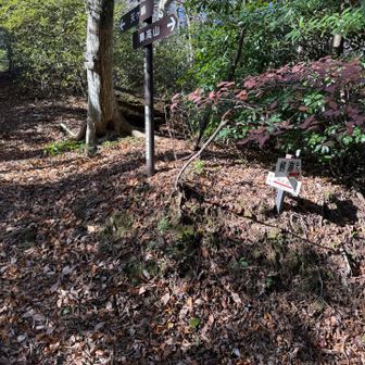 ここからも鰐淵寺に降りられる