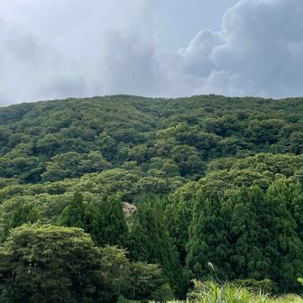 登山口から見上げた依遅ヶ尾山