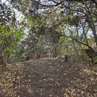 権現山山頂（138m）
