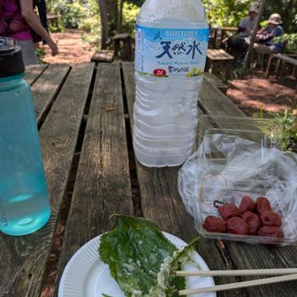 さっきの梅干しと一緒に、塩分補給

超美味しかったです
大きな葉っぱは『カラムシ』っていうんだけど、鹿に食べられて困ってるって言ってた

隣の人がビールを美味しそうに飲んでたけど、ここは我慢