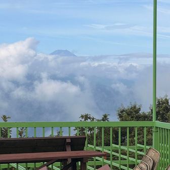 富士山も頭だけ見えた