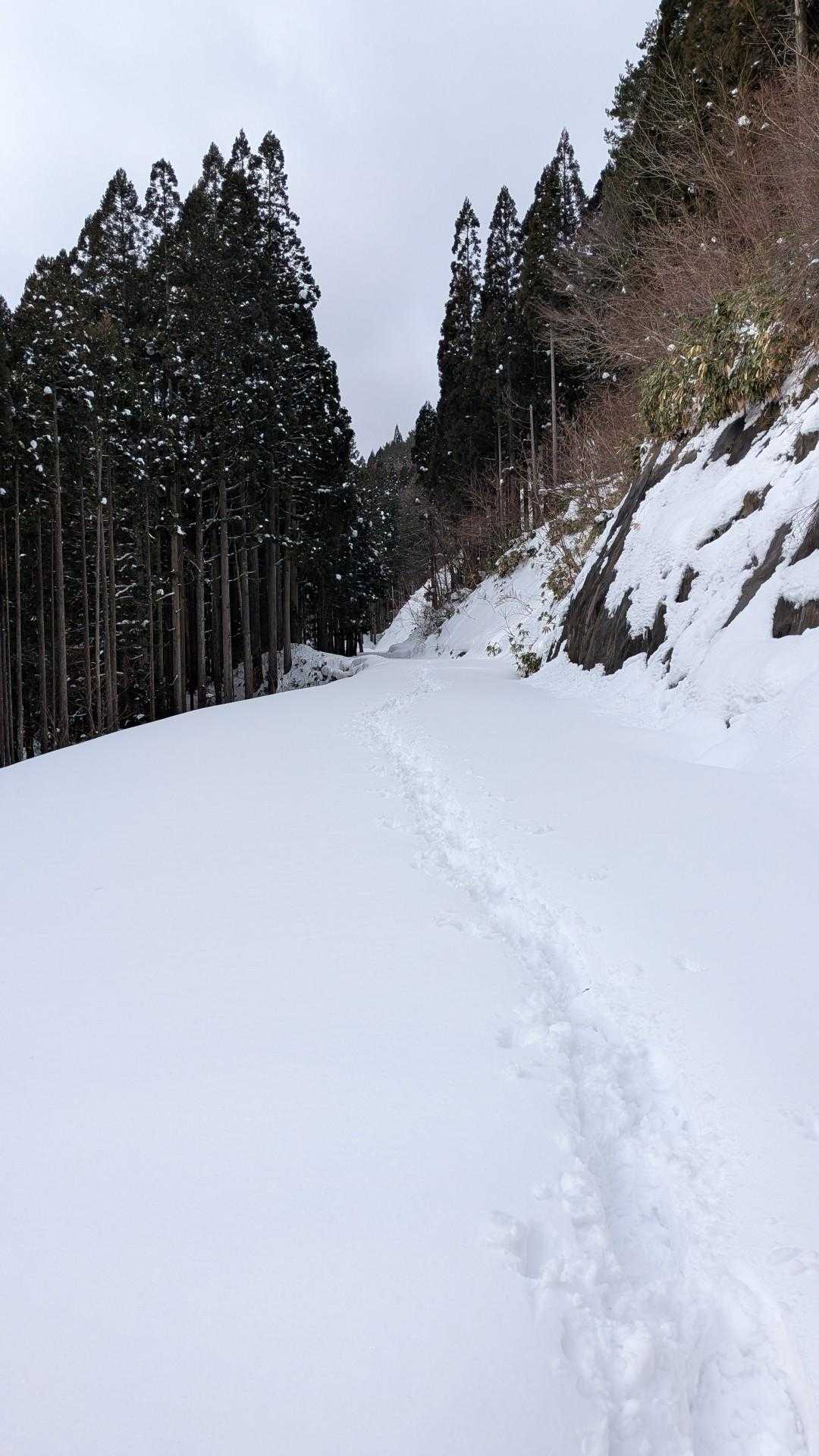トレース以外は真っ白けのキレイな雪☃️