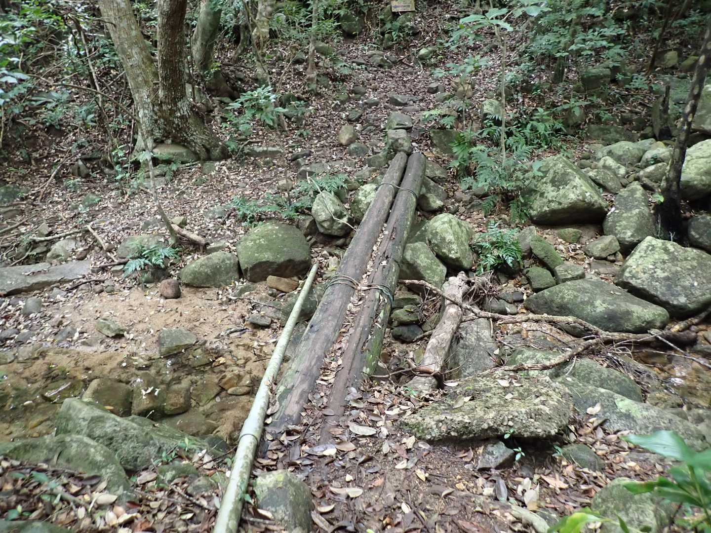丸太の橋。何事もやってやってみたいタチなので渡ってみたが、水が少ないので橋以外の方が安全。
