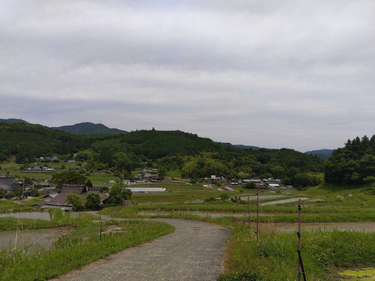 いい風景が見えてきた🎶