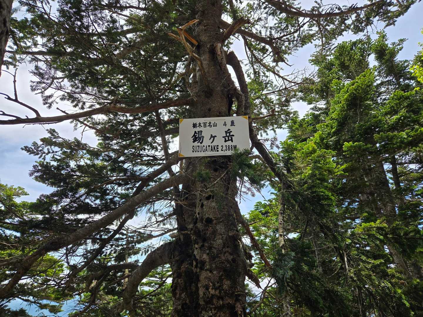 錫ヶ岳山頂に到着！
こちらも看板が高い。