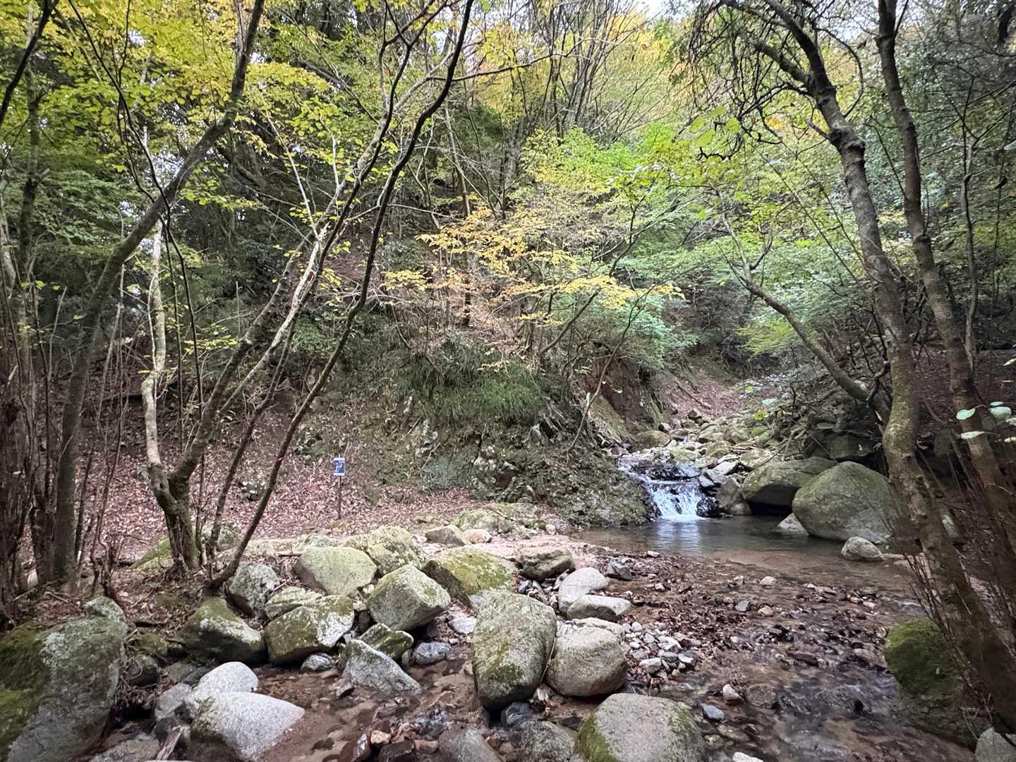 最後は渡渉で下山です♪
おつかれ山でした！