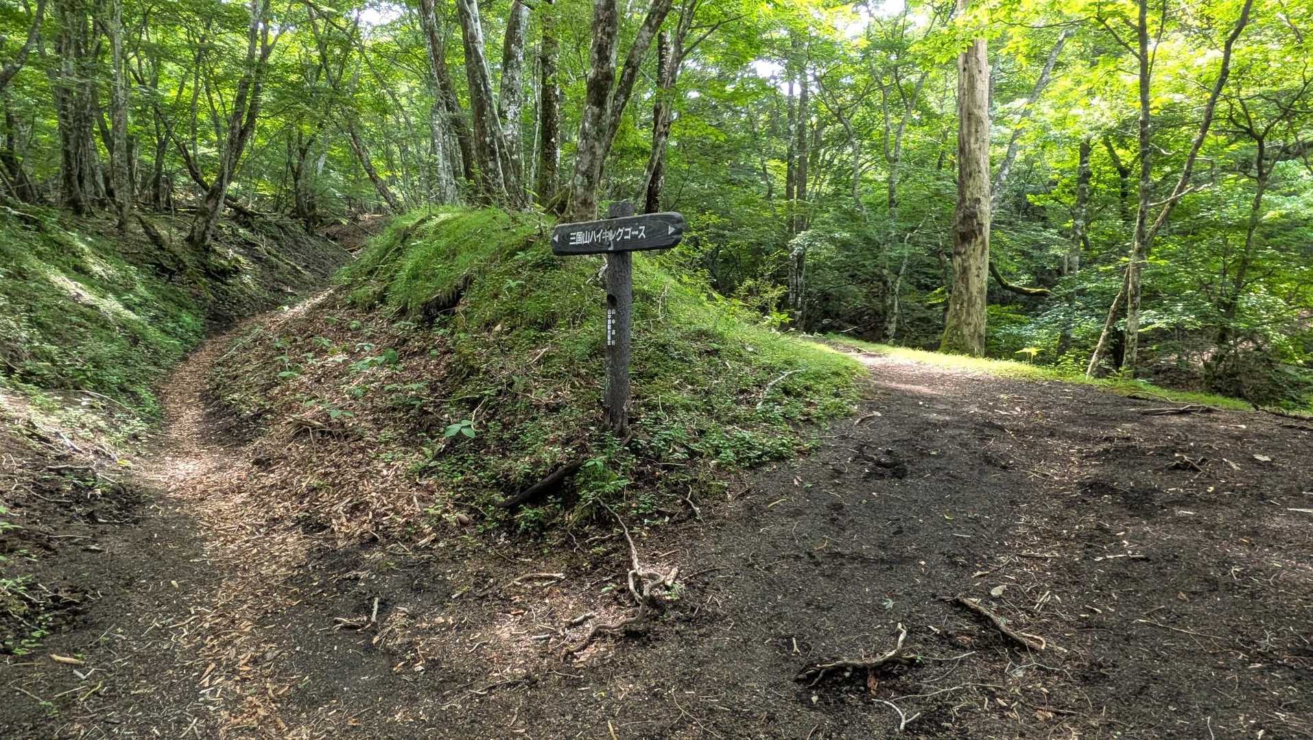 立山はこの分岐を右に進みます。