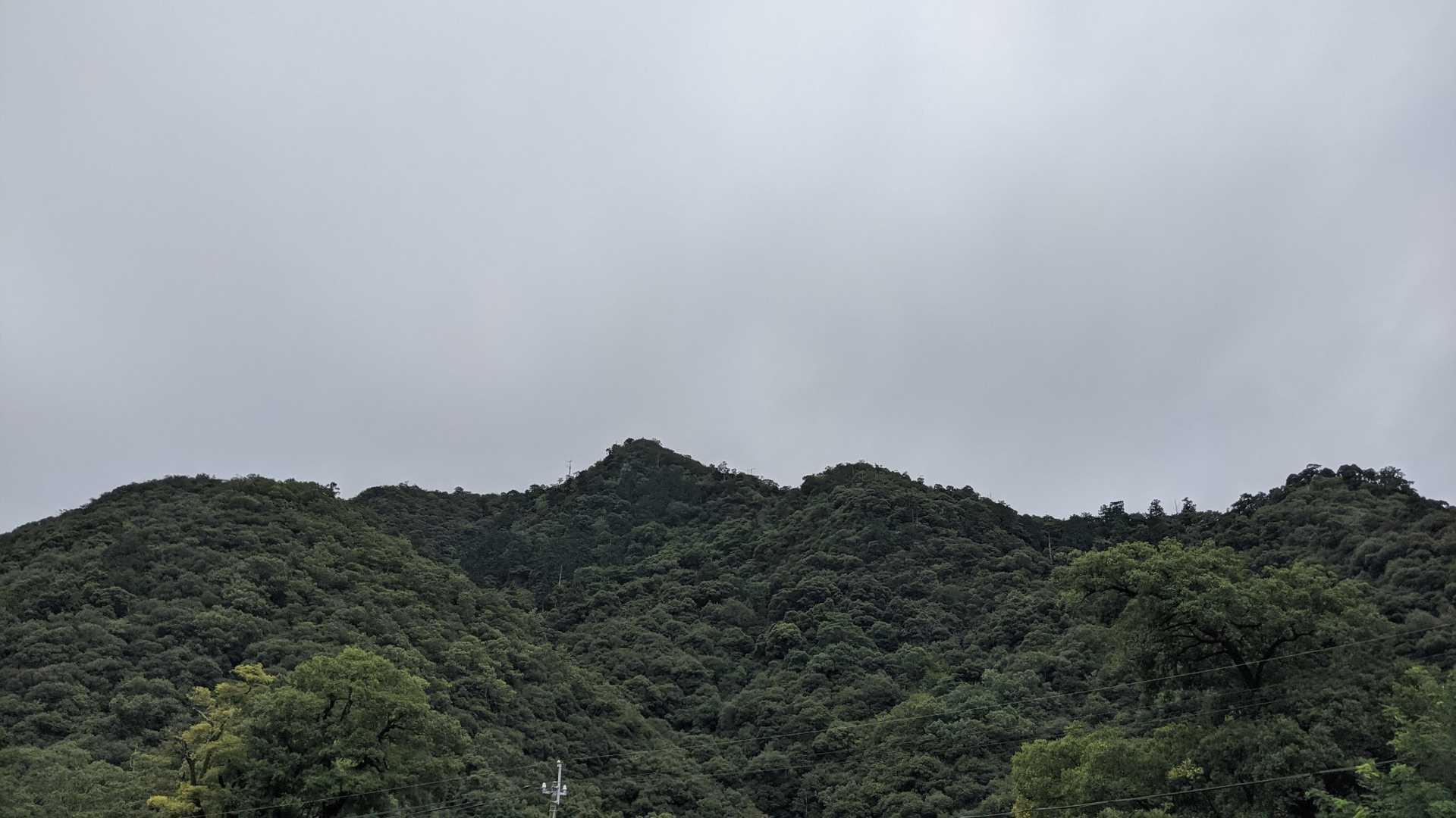 めい想の小径-金華山-七曲登山道 周回コースの写真
