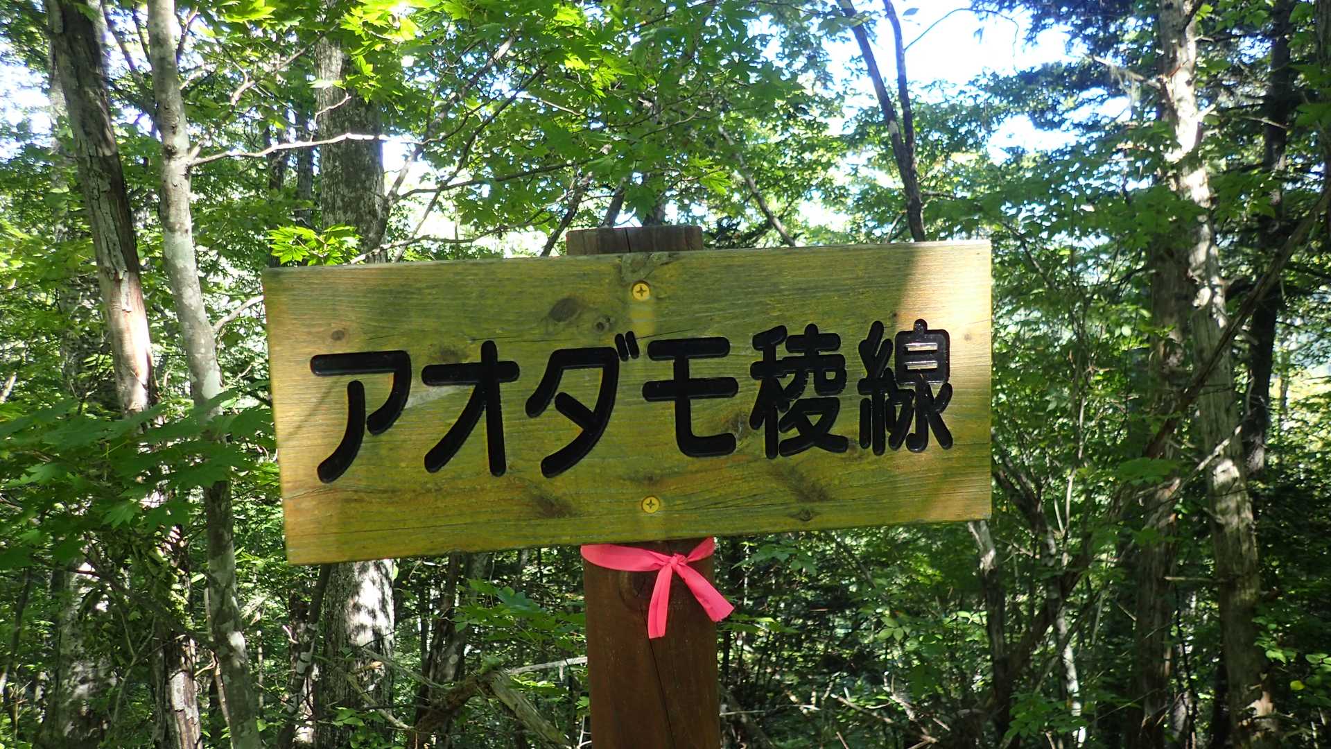 仁頃山 周回コースの写真