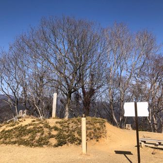 山頂⛰️☝️

看板らしきものが裏返し？