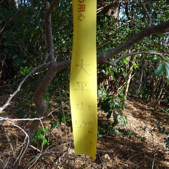 最初は大平山。
テープでいいのかな。