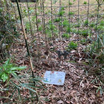 そして、いざ次のピークへ向かいます。
あくまでも自己責任で。
お邪魔しますの気持ちで。