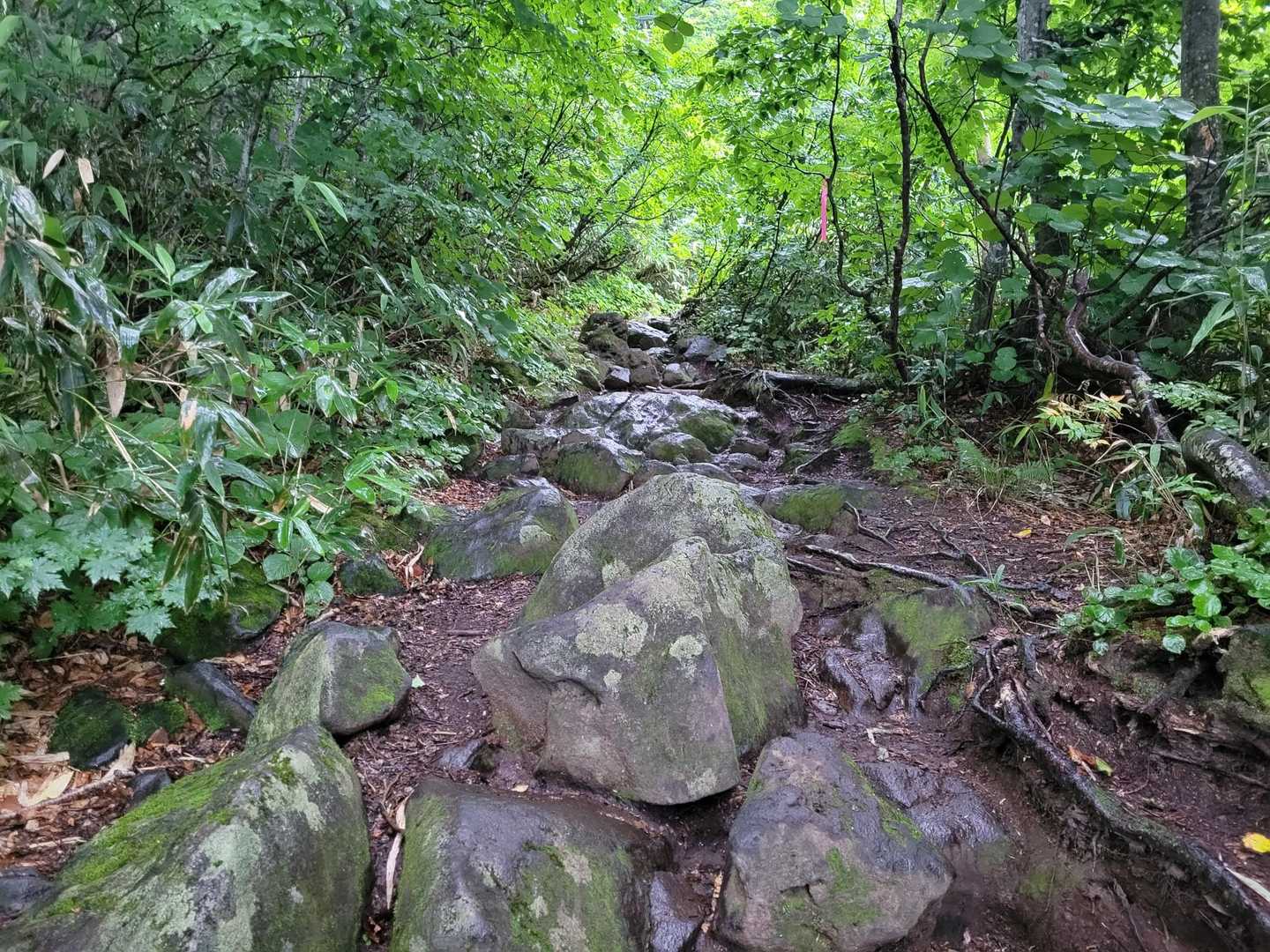 岩ゴロゴロZONE😃💦