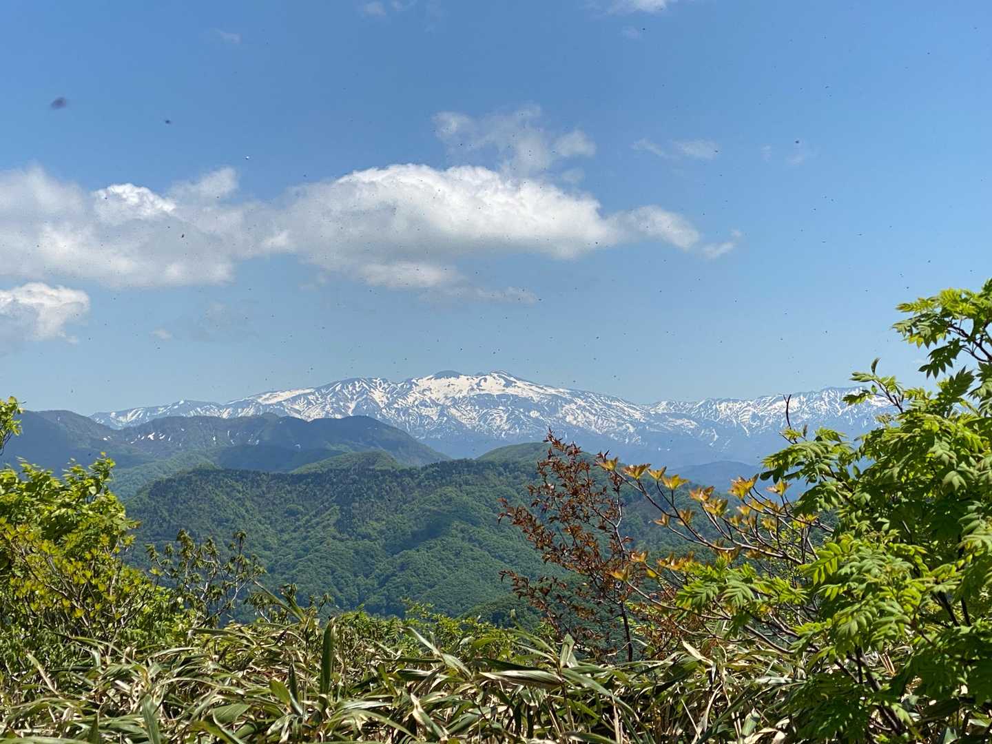 景色いいです😊