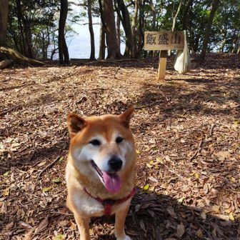 ささぐり88おじいさん