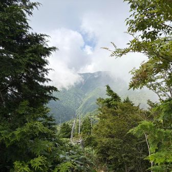 恵那山へ出発するのを見送って、満足したおじさんは引き返します〜