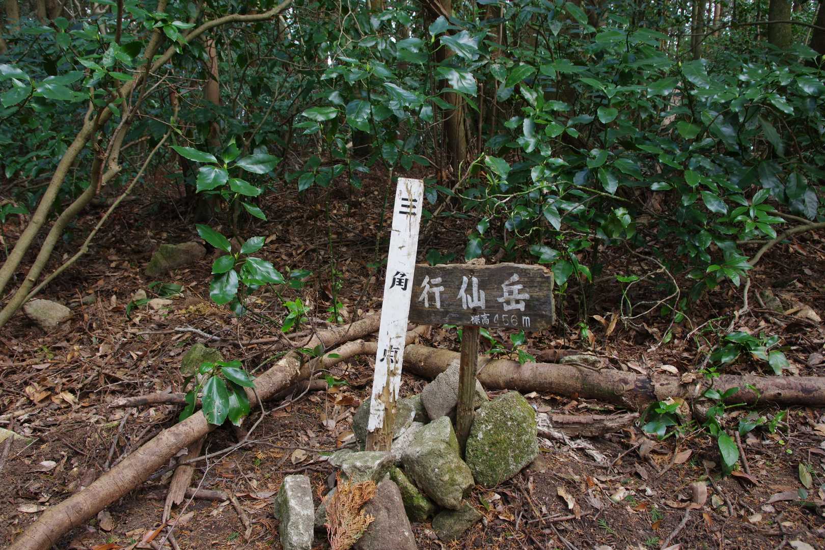 行仙岳（長崎県）の写真