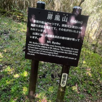 砦跡は確認できず。