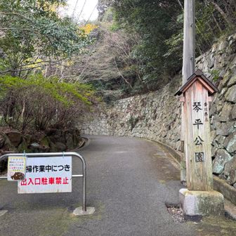 ここから鳥の声を聞きながらスタート