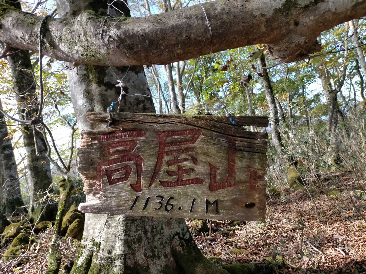 高屋山の写真