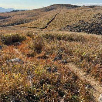 これは、振り返って、龍護峰方面。