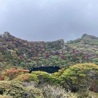 山頂の石の上から見た御池
どんより雲りなのが残念