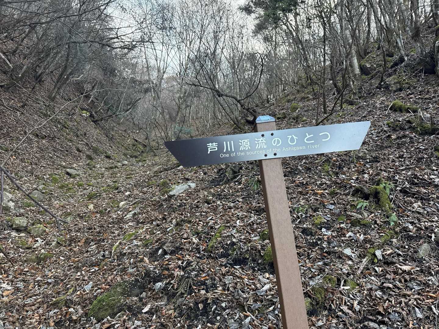 御坂山登山口-御坂峠-カネ山-御坂山-観音平山-旧御坂峠- 縦走コースの写真