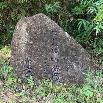 榊莫山先生の石碑🪨③