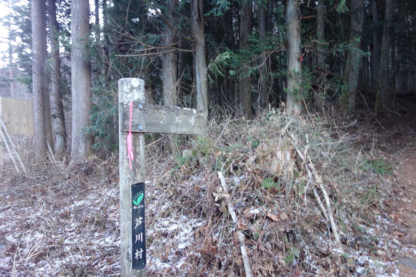 すぐに登山口