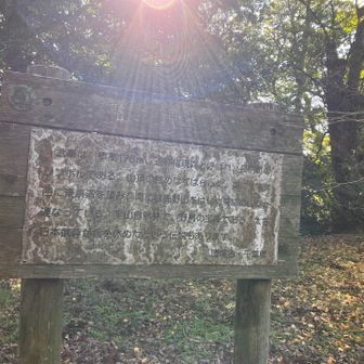 権現森。別名が武峯。権現森の由来は羽黒権現より