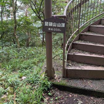 山頂標識ありました