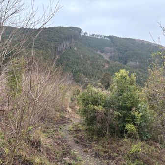 今日のラスボスはこの向こうにいる