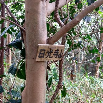 ▲日光山
なんとか着いた😅
ほんとはピストンするつもりやったけど　あの道？　もう歩きたくないな…
南側へ下って周回しよう