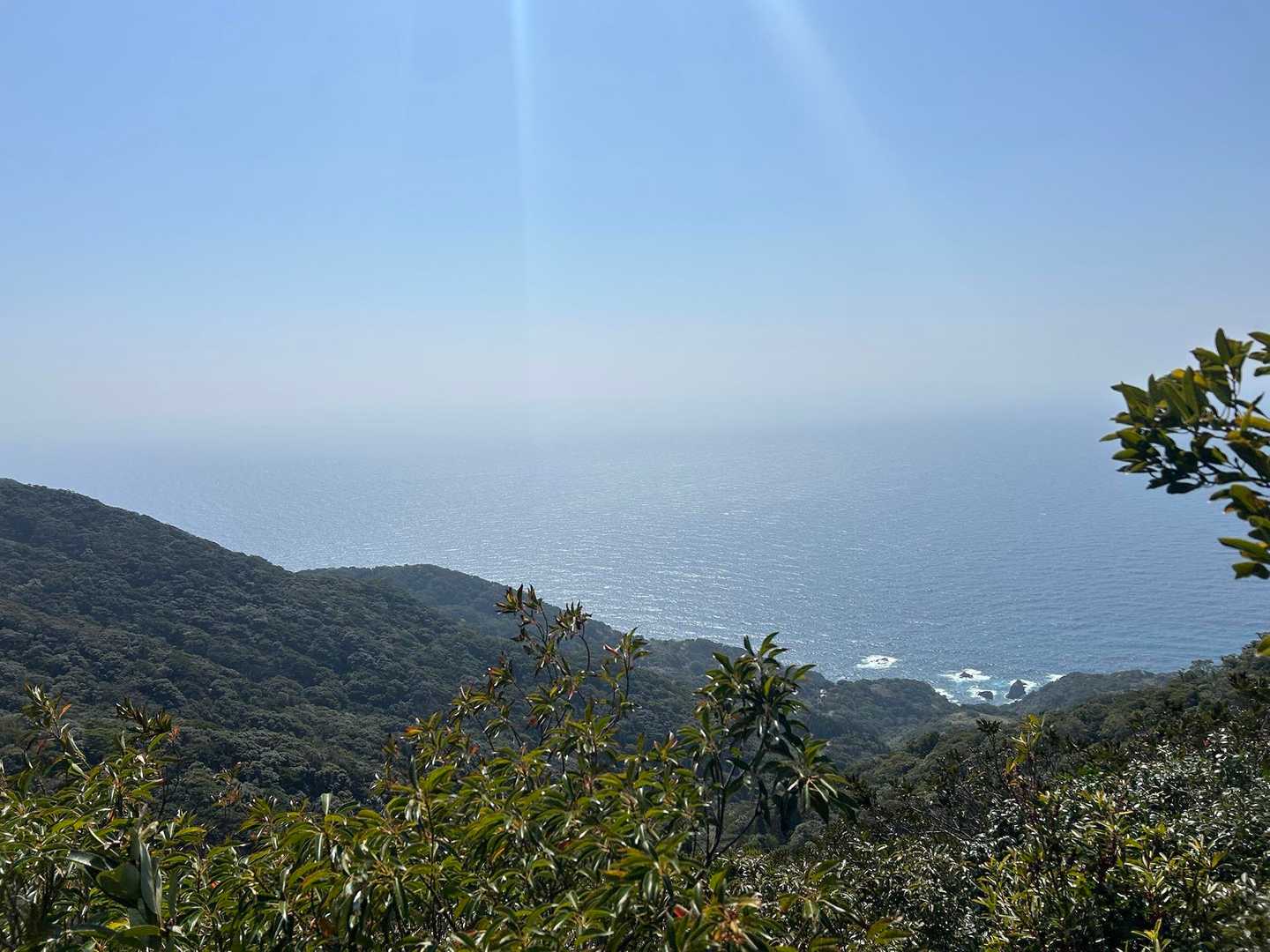 野間岳 往復コースの写真