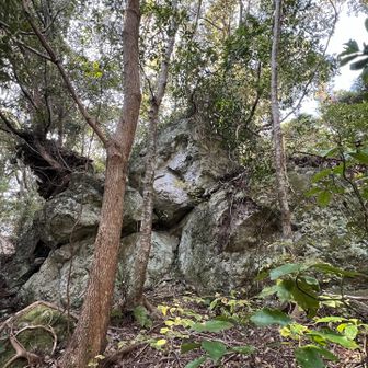 慎重に回り込んでみました。巨岩🪨4つ重なってる