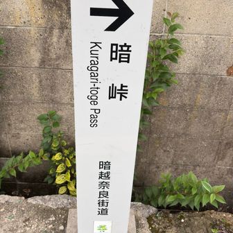 駐車場🅿️に車を停めてこっちの方へ