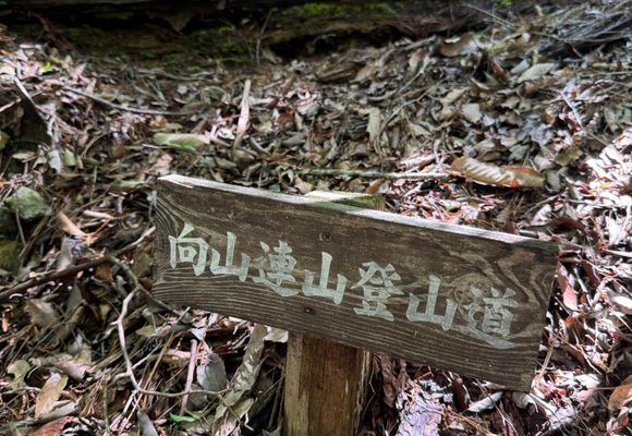 ニの山（兵庫・298m）| 登山ルート・天気 | YAMAP / ヤマップ