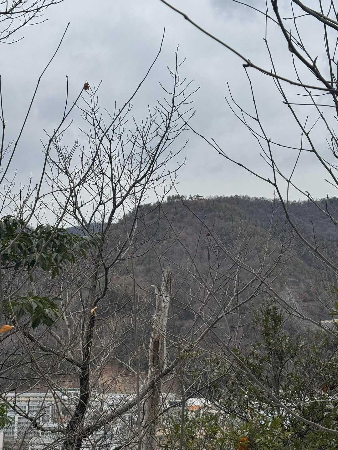 次は向かいの三峰山へ
赤い東屋が見える