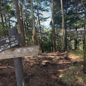 聖峰への分岐。セイホウだと思ってたが、ひじりみねと読むらしい🧐