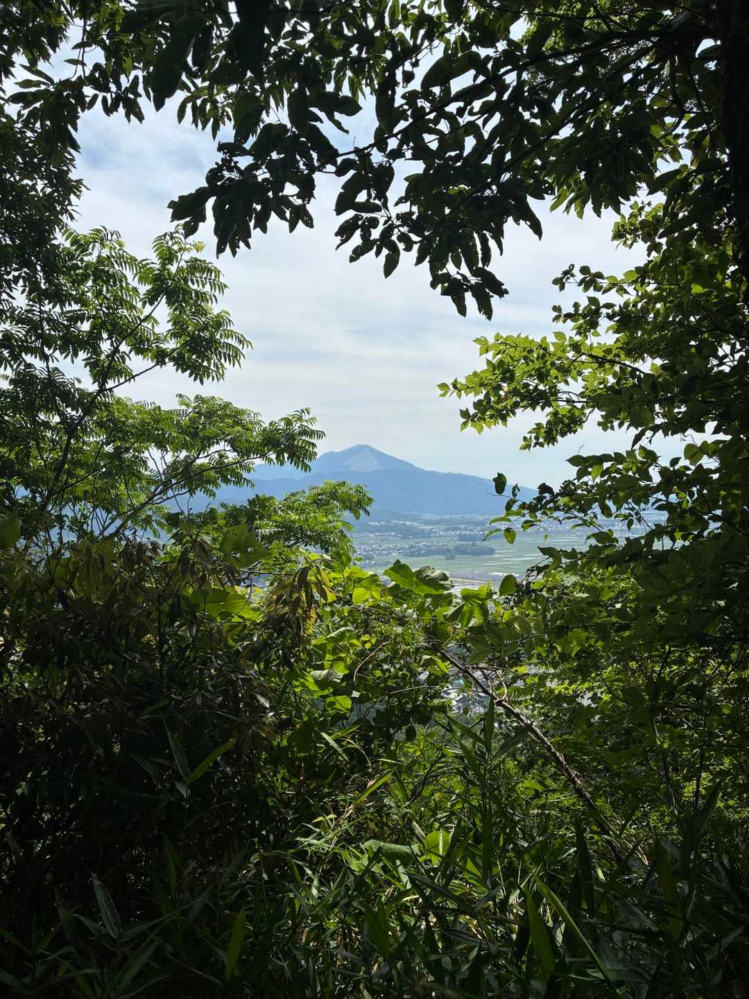 下山します。伊吹山🥰こないだまで白かったのにな。