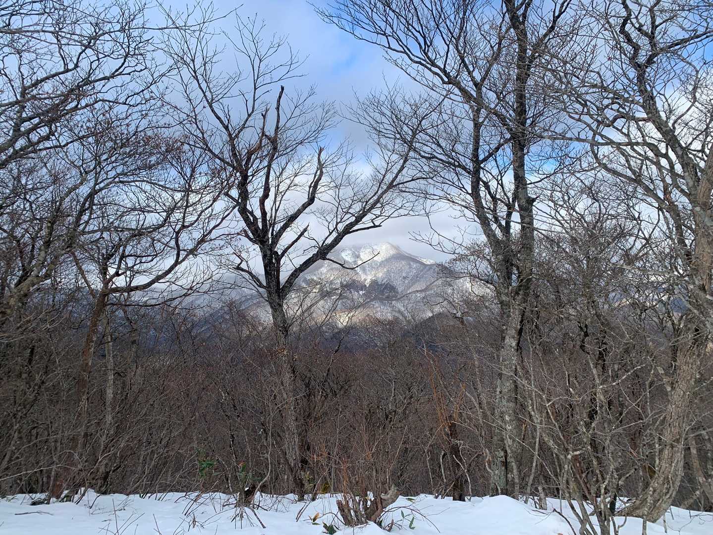 お向かいに大東岳🏔

来年は行けるかな