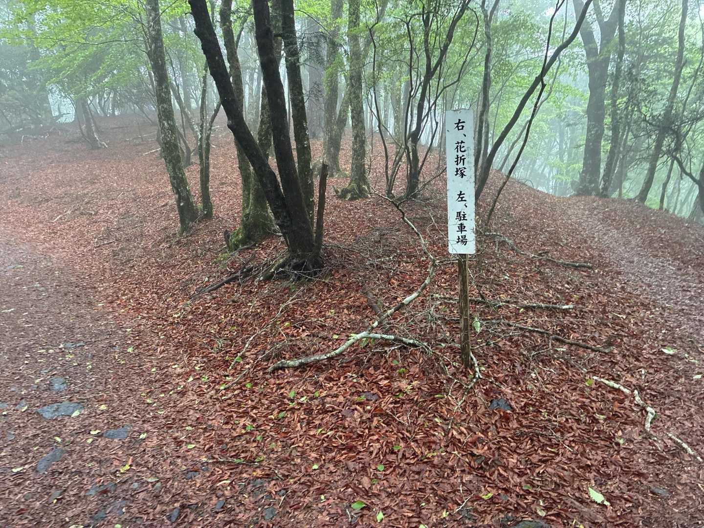 帰りは周回で奥駈道を少し歩く