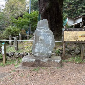 子の権現到着です！遠い道のりでした
