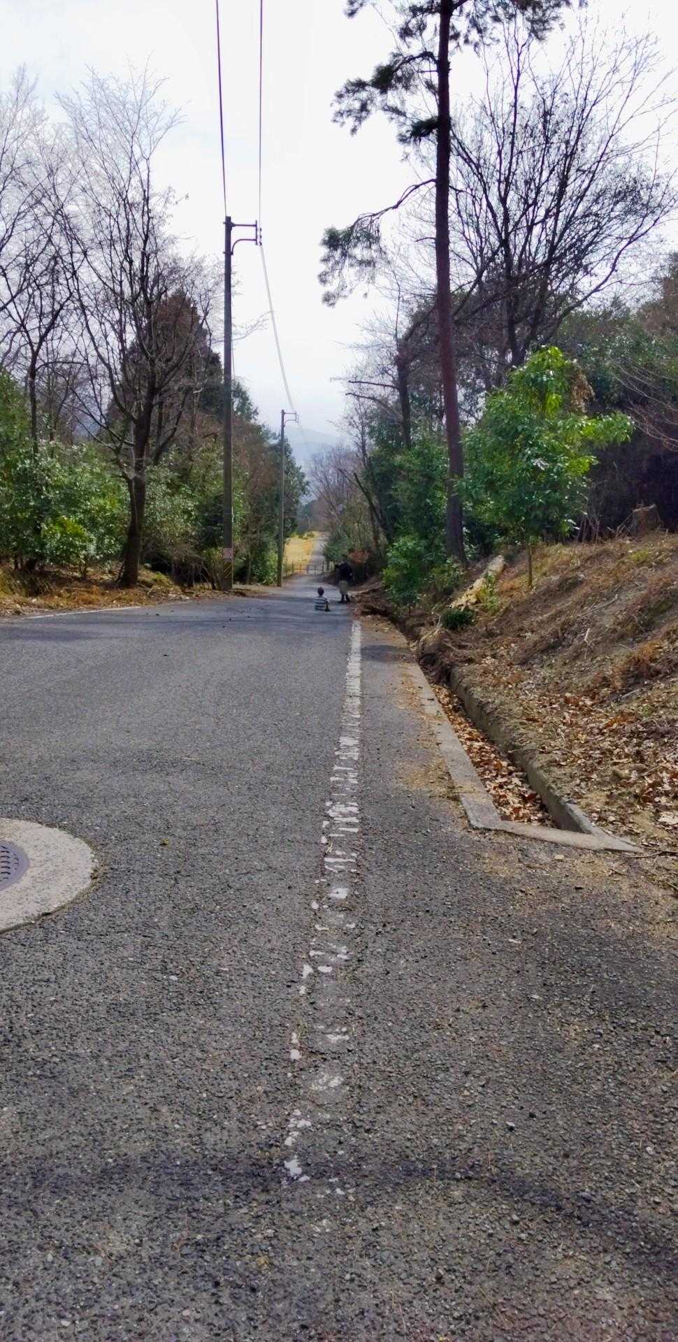 登山口を出たら道路を歩きます✨